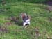 2006-Wildlife-01