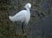2006-Wildlife-08