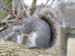 2006-Wildlife-09