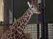 2006-Wildlife-12