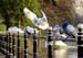 2006-Wildlife-15